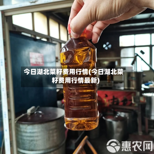 今日湖北菜籽费用行情(今日湖北菜籽费用行情最新)-第1张图片
