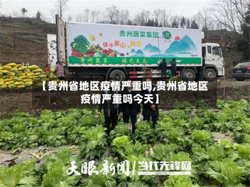 【贵州省地区疫情严重吗,贵州省地区疫情严重吗今天】-第3张图片