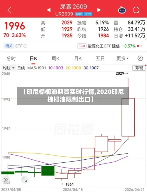 【印尼棕榈油期货实时行情,2020印尼棕榈油限制出口】-第3张图片