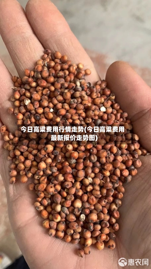 今日高粱费用行情走势(今日高粱费用最新报价走势图)-第2张图片