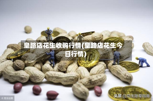 皇路店花生收购行情(皇路店花生今日行情)-第2张图片