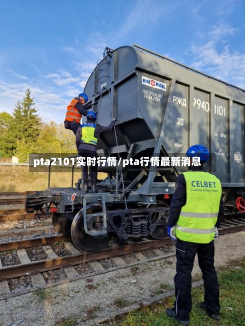 pta2101实时行情/pta行情最新消息-第3张图片