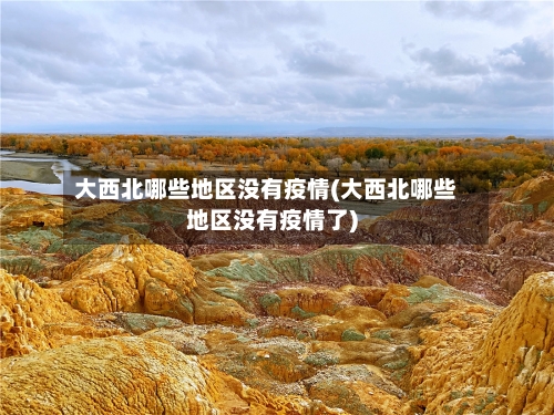 大西北哪些地区没有疫情(大西北哪些地区没有疫情了)