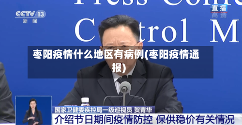 枣阳疫情什么地区有病例(枣阳疫情通报)-第2张图片