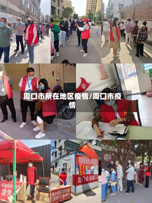 周口市所在地区疫情/周囗市疫情-第2张图片