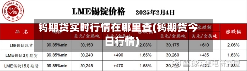 钨期货实时行情在哪里查(钨期货今日行情)