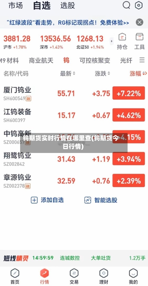钨期货实时行情在哪里查(钨期货今日行情)-第2张图片