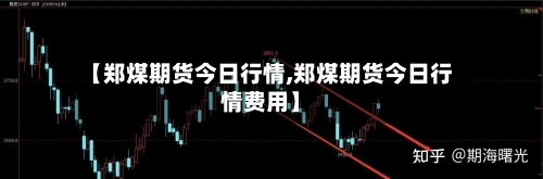 【郑煤期货今日行情,郑煤期货今日行情费用】-第3张图片