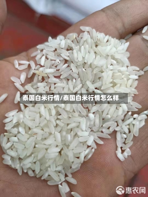 泰国白米行情/泰国白米行情怎么样