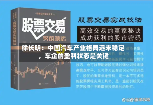 徐长明：中国汽车产业格局远未稳定	，车企的盈利状态是关键-第2张图片