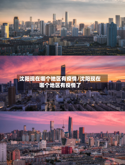 沈阳现在哪个地区有疫情/沈阳现在哪个地区有疫情了-第3张图片