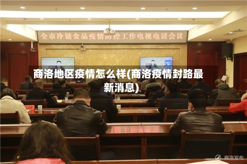 商洛地区疫情怎么样(商洛疫情封路最新消息)