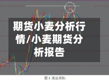 期货小麦分析行情/小麦期货分析报告-第3张图片