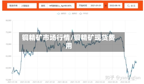铜精矿市场行情/铜精矿现货费用