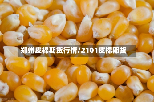 郑州皮棉期货行情/2101皮棉期货-第3张图片