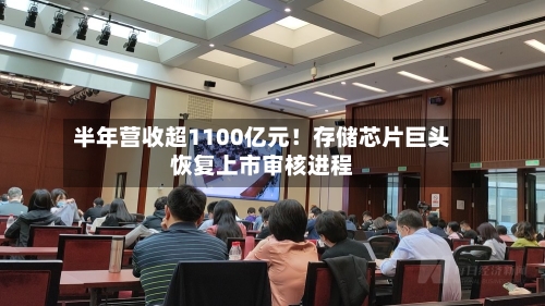 半年营收超1100亿元!存储芯片巨头恢复上市审核进程-第2张图片