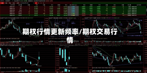 期权行情更新频率/期权交易行情