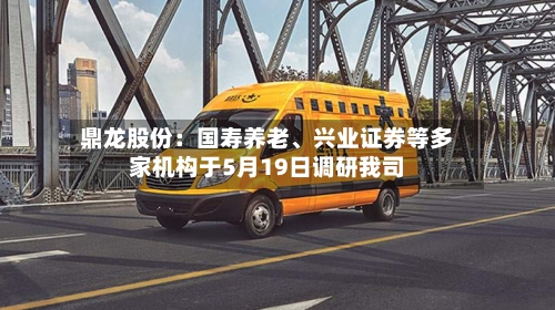 鼎龙股份：国寿养老、兴业证券等多家机构于5月19日调研我司-第2张图片