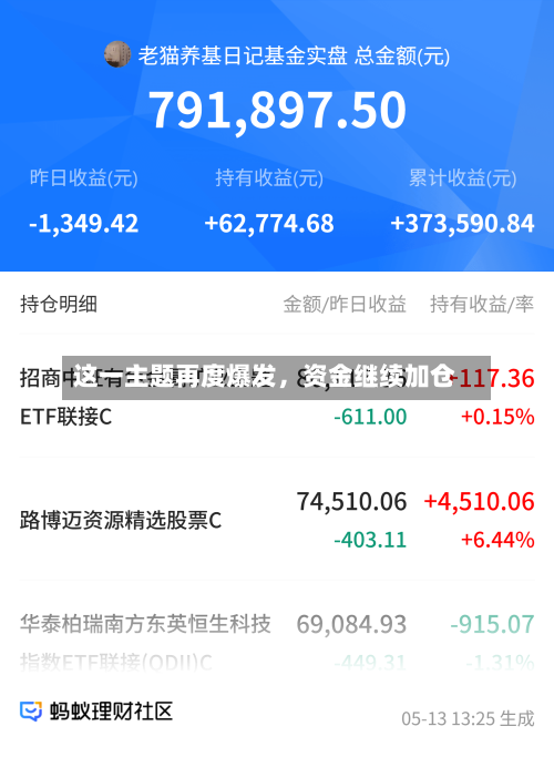 这一主题再度爆发，资金继续加仓