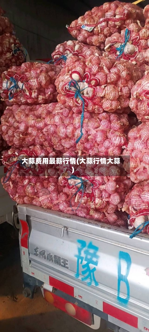 大蒜费用最薪行情(大蒜行情大蒜)-第2张图片