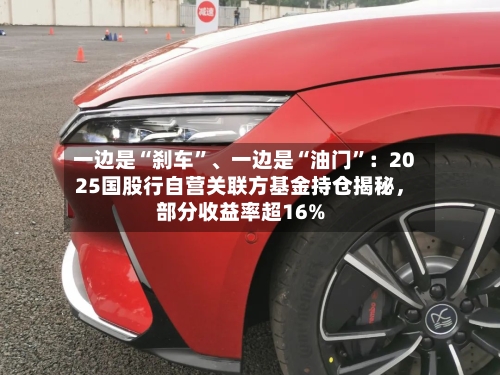 一边是“刹车”、一边是“油门”：2025国股行自营关联方基金持仓揭秘，部分收益率超16%