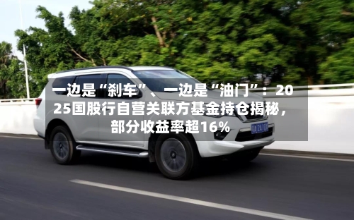 一边是“刹车”	、一边是“油门”：2025国股行自营关联方基金持仓揭秘，部分收益率超16%-第2张图片