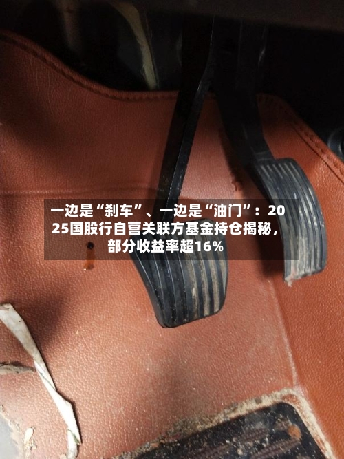 一边是“刹车	”、一边是“油门”：2025国股行自营关联方基金持仓揭秘，部分收益率超16%-第3张图片
