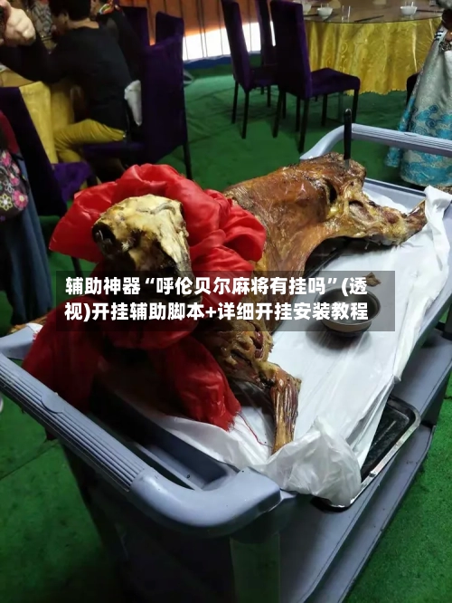 辅助神器“呼伦贝尔麻将有挂吗”(透视)开挂辅助脚本+详细开挂安装教程-第2张图片