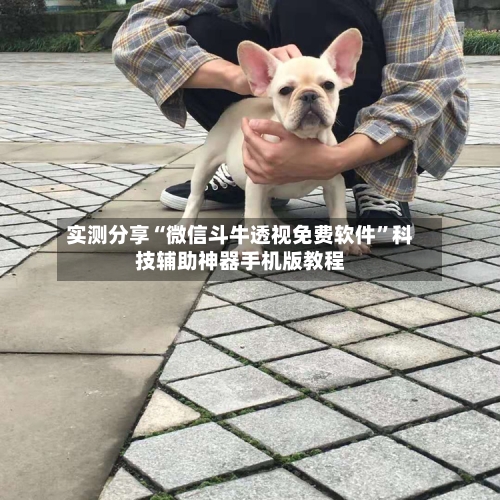 实测分享“微信斗牛透视免费软件”科技辅助神器手机版教程-第3张图片
