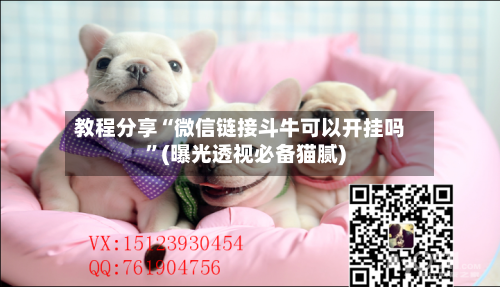 教程分享“微信链接斗牛可以开挂吗”(曝光透视必备猫腻)-第2张图片