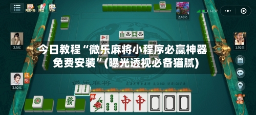 今日教程“微乐麻将小程序必赢神器免费安装”(曝光透视必备猫腻)-第3张图片