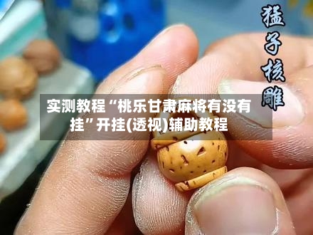 实测教程“桃乐甘肃麻将有没有挂”开挂(透视)辅助教程-第2张图片