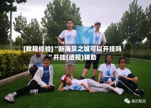 [教程经验]“新海贝之城可以开挂吗”开挂(透视)辅助