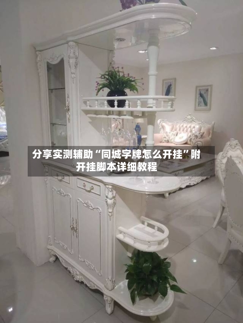 分享实测辅助“同城字牌怎么开挂”附开挂脚本详细教程-第3张图片
