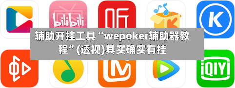 辅助开挂工具“wepoker辅助器教程”(透视)其实确实有挂