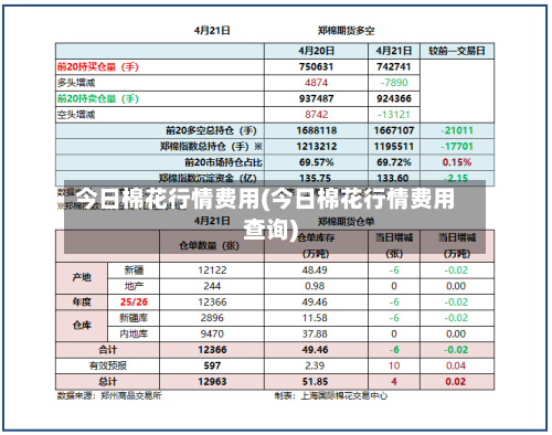 今日棉花行情费用(今日棉花行情费用查询)