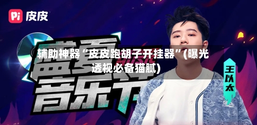 辅助神器“皮皮跑胡子开挂器”(曝光透视必备猫腻)-第2张图片