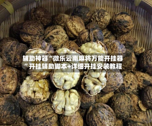 辅助神器“微乐云南麻将万能开挂器	”开挂辅助脚本+详细开挂安装教程-第2张图片