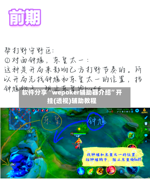软件分享“wepoker辅助器介绍	”开挂(透视)辅助教程-第2张图片