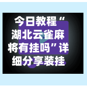 今日教程“湖北云雀麻将有挂吗”详细分享装挂步骤-第3张图片