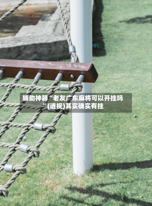 辅助神器“老友广东麻将可以开挂吗	”(透视)其实确实有挂-第2张图片