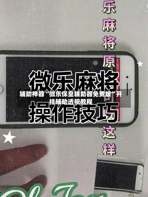 辅助神器“微乐保皇辅助器免费版”开挂辅助透视教程-第3张图片