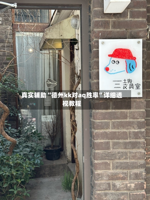 真实辅助“德州kk对aq胜率	”详细透视教程-第3张图片