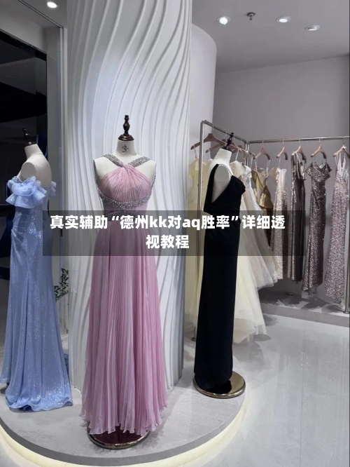 真实辅助“德州kk对aq胜率”详细透视教程-第2张图片