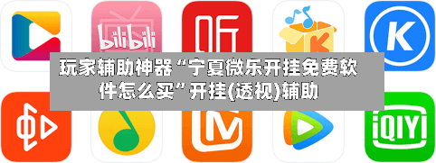 玩家辅助神器“宁夏微乐开挂免费软件怎么买”开挂(透视)辅助-第3张图片