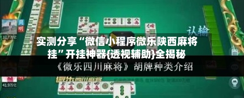 实测分享“微信小程序微乐陕西麻将挂”开挂神器{透视辅助}全揭秘-第2张图片