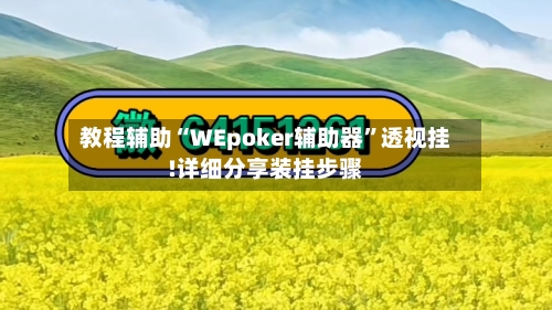 教程辅助“WEpoker辅助器”透视挂!详细分享装挂步骤-第2张图片