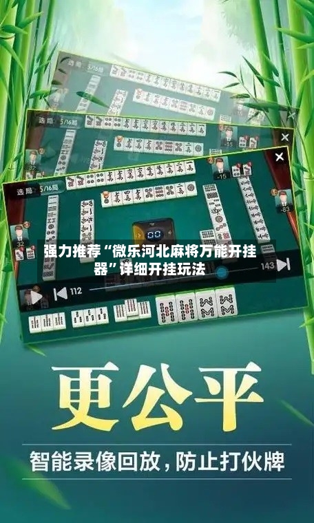 强力推荐“微乐河北麻将万能开挂器”详细开挂玩法-第2张图片