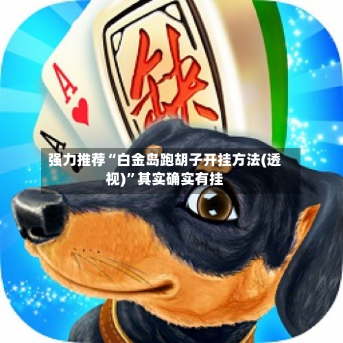 强力推荐“白金岛跑胡子开挂方法(透视)	”其实确实有挂-第2张图片