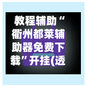 教程辅助“衢州都莱辅助器免费下载”开挂(透视)辅助-第2张图片
